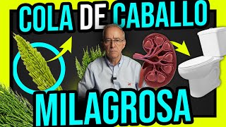 🌿 COLA DE CABALLO Potente Para ELIMINAR LIQUIDOS, DIURETIVO NATURAL - Oswaldo Restrepo RSC