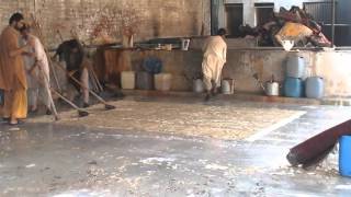 Washing Process of Hand-knotted Rugs | Processus de nettoyage des tapis noués à la main