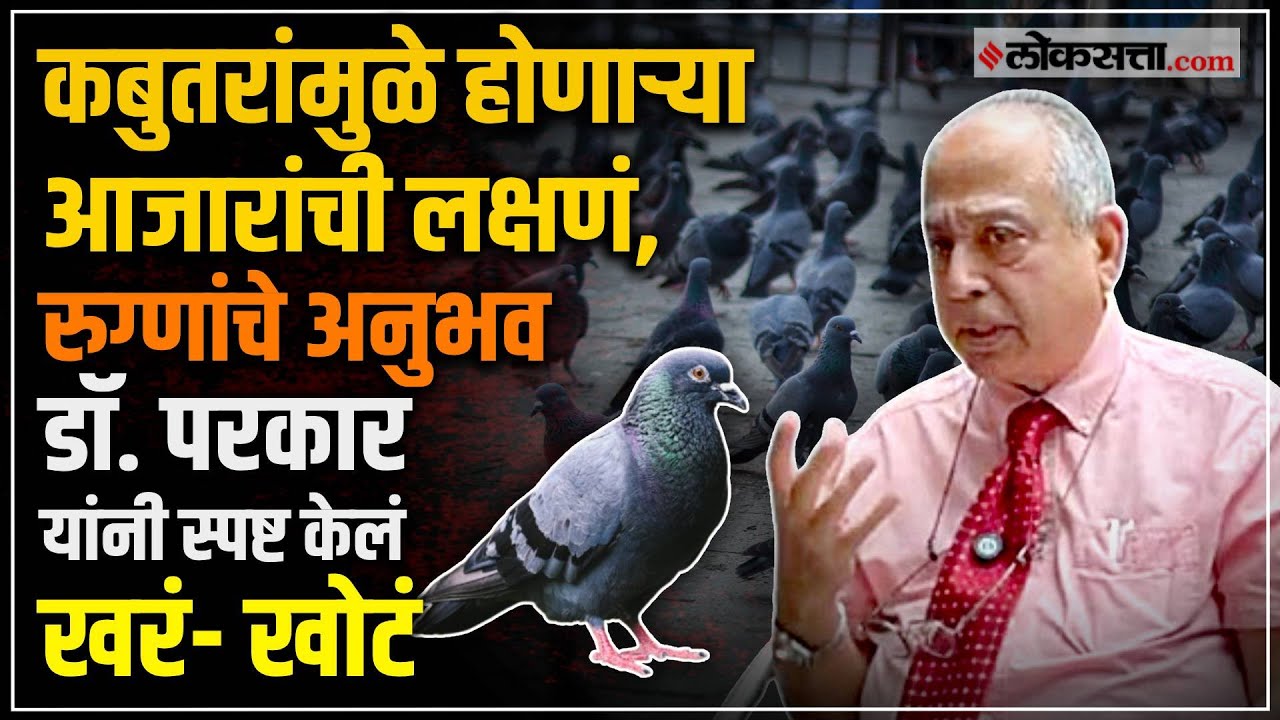 कबुतरामुळे होणाऱ्या आजारांचा डेथ रेट शून्य? कुठल्या वयोगटाला सर्वात जास्त धोका? Dr. Parkar।Lilavati