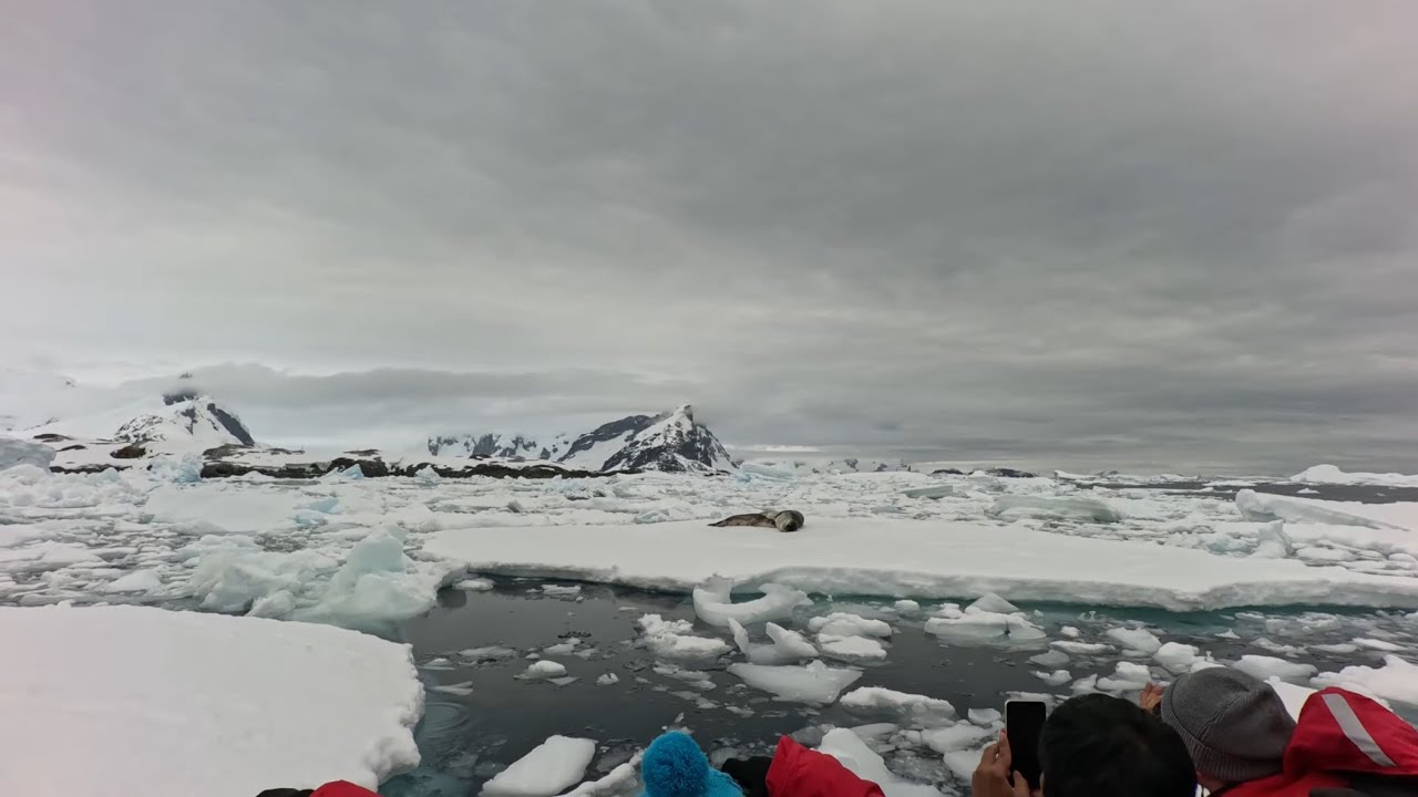 Antarctica's Penola Strait