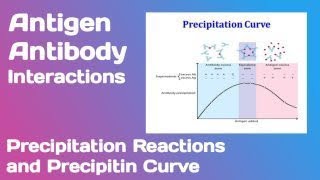 Antigen Antibody interactions:- Precipitation Reactions and Precipitin curve