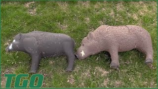 TGO | Backyard Targets, Shooter 3D Hog vs Rinehart Boar screenshot 1