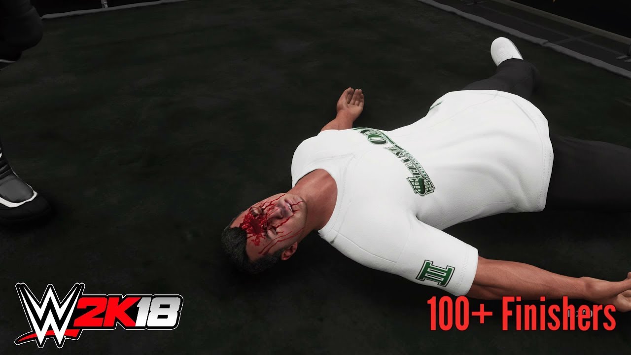 EVERYONE HATES SHANE-O-MAC - 100+ Finishers To Shane McMahon