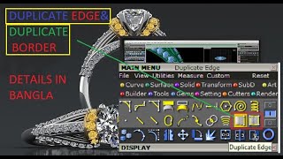 Duplicate Edge&amp; Duplicate Border Difference and Uses