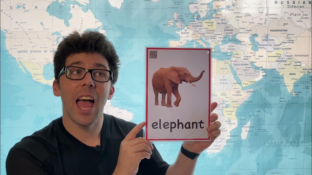 How to Pronounce Elephant in English YouTube