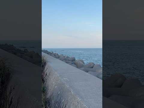 【太平洋】茨城県日立市から見える太平洋 #海#太平洋#茨城県日立市