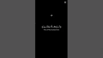 تلاوه رائعه بصوت عبدالرحمن مسعد 