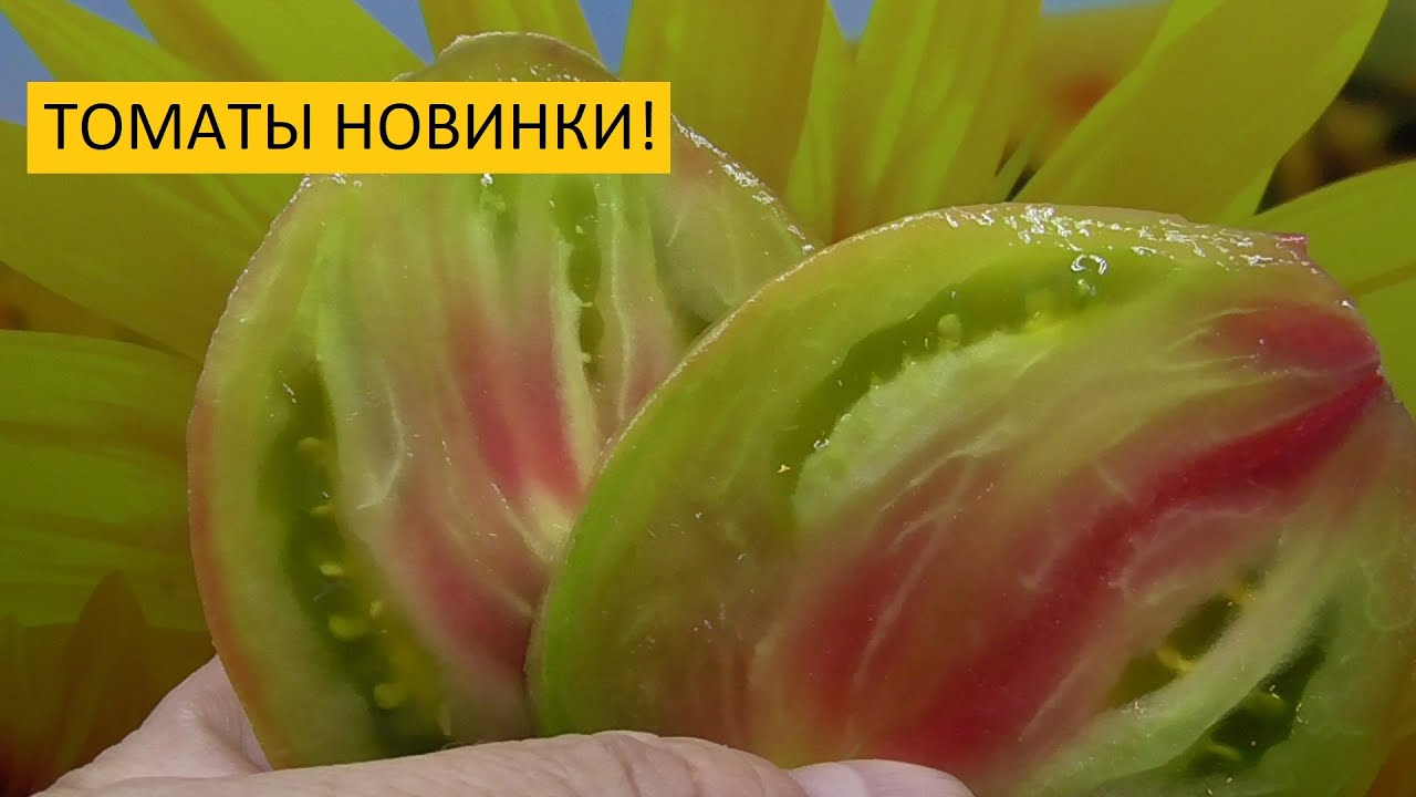 Ольга Чернова Новые Видео 2022 Года