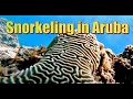 Snorkeling in Aruba 2025 in 4K