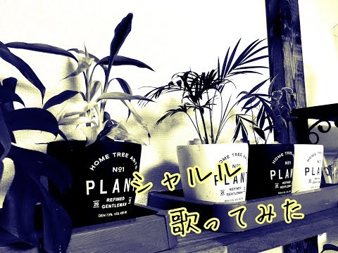 シャルル歌ってみた（第４回アクアリスト歌ってみた）