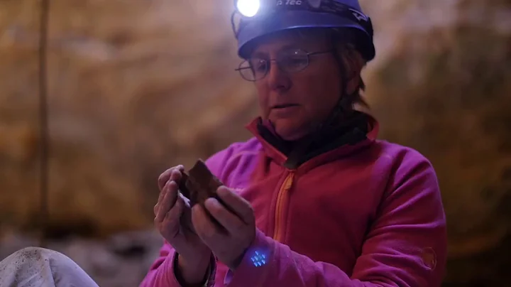 Chapter 4: Ice Age investigations with Dr Penny Hi...