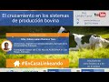 Conferencia | El cruzamiento en los sistemas de producción bovina