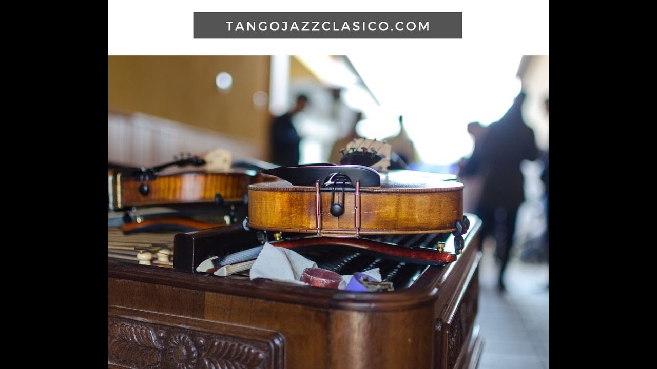 Cuales con las Diferencias entre el  violin y  la  Viola? Clases Online, Musica