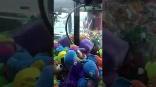 Max At Steak N Shake