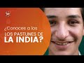 Pastunes en India.