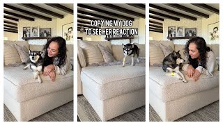 Copying My Dog To See Her Reaction