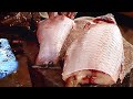 Amazing Cutting Skills | Expert Rohu Fish Cutting in Fish Market | Fish Cutting Skills