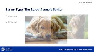 AKC GoodDog Helpline: Barking Webinar by American Kennel Club 535 views 7 months ago 26 minutes