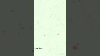 Chand Taro Me Najar Aye Chehra Tera .Sad Whatsap Status