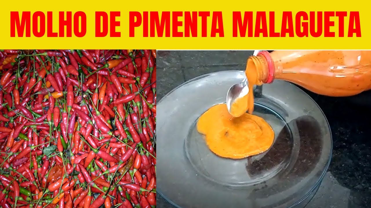 😋PIMENTA MALAGUETA | COMO FAZER MOLHO DE PIMENTA MALAGUETA | MOLHO DE ...