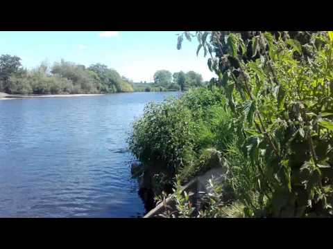 Ballincollig regional park-4/6/2016