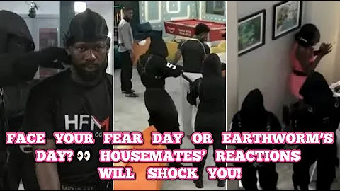 FACE YOUR FEAR DAY OR EARTHWORM’S DAY? 👀 HOUSEMATES’ REACTIONS WILL SHOCK YOU! #bbnaija