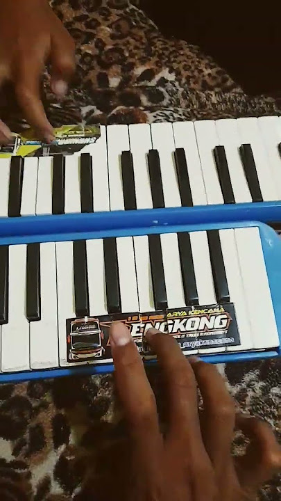 pianika basuri ala kids panda #piano #basuri #music #basuriv1 #busmania #basuriv3 #basurimengular