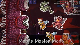 Master Mode Wall Of Flesh As A Summoner Terraria Mobile 1.4.5