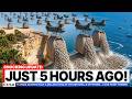 Florida Dumped Half a Million Tons of Oyster Shells Offshore… Look What Formed