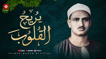 تلاوة تريح البال.. اترك همومك مع هذا الصوت الخاشع الباكي | الشيخ محمد صديق المنشاوي 🎧