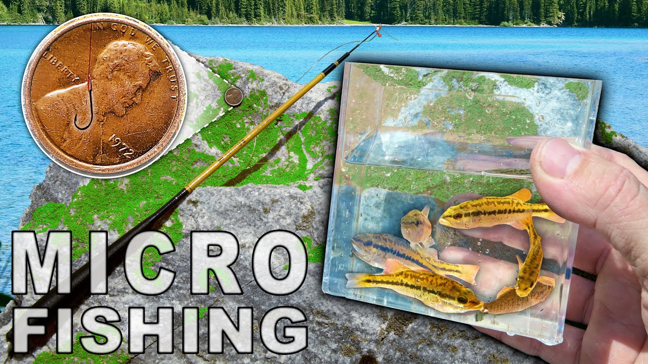 Micro Fishing for Tiny Fish With Tiny Telescoping Tanago Rod