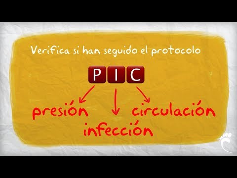 Vídeo: Comparación De La Tasa De Curación En úlceras Del Pie Relacionadas Con La Diabetes Con Desbridamiento Ultrasónico De Baja Frecuencia Versus Desbridamiento De Objetos Punzantes No Q