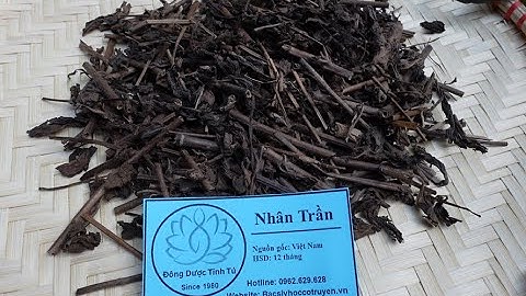 NHÂN TRẦN : Vị thuốc lợi gan mật nhưng không nên dùng quá nhiều
