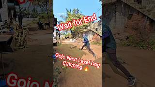Gojo Next Level Dog Catching Trailer #dog #mafiadogcatcher #city #ytviral #gojo
