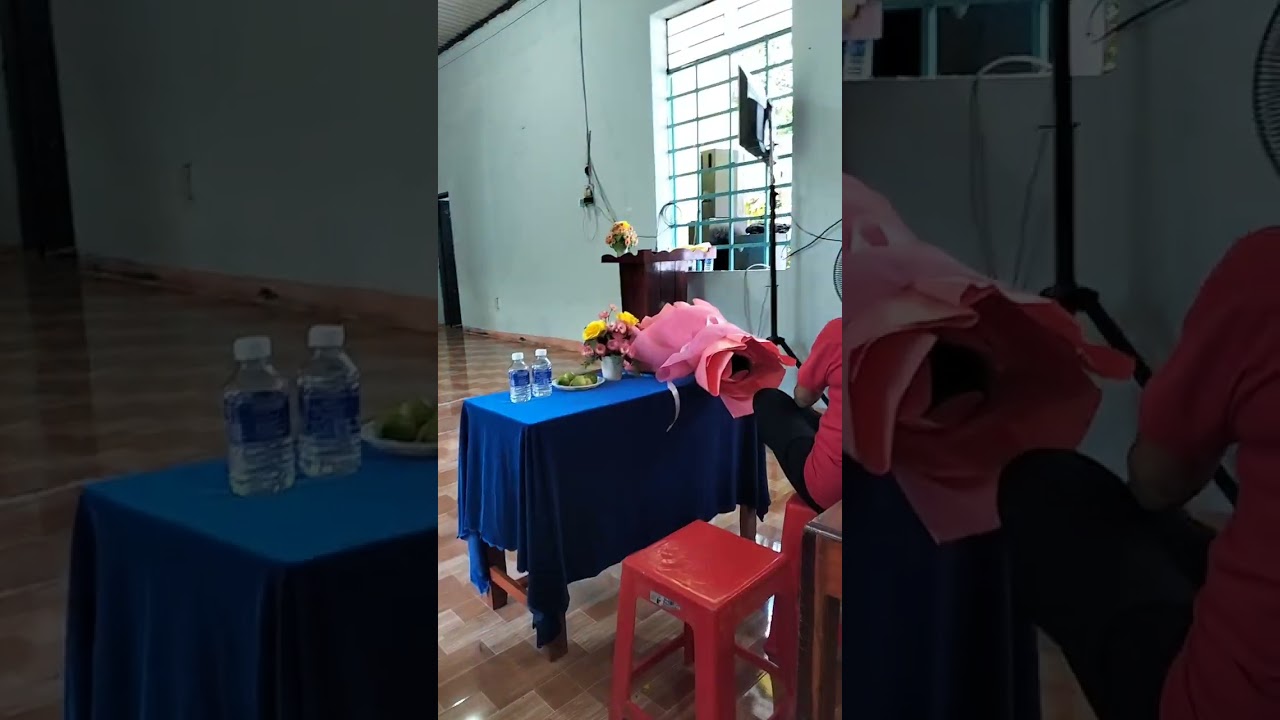 Rừng xanh vang Tiếng ta lư Kim Loan trình bày 