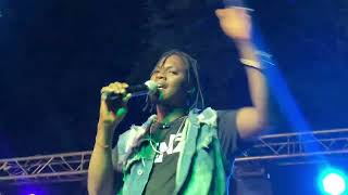 Issa koité au festival des boissons au parc national de Bamako