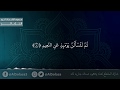 سورة التكاثر الشيخ محمود الشحات انور