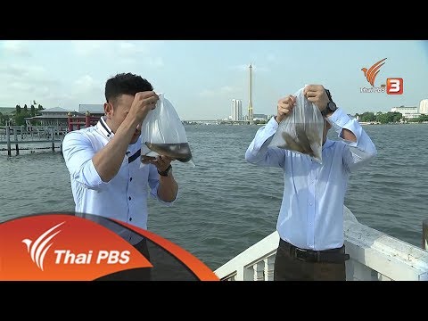 รู้เท่ารู้ทัน : ทำบุญปล่อยสัตว์อย่างไรให้ถูกต้องและได้บุญ (27 มี.ค. 61)