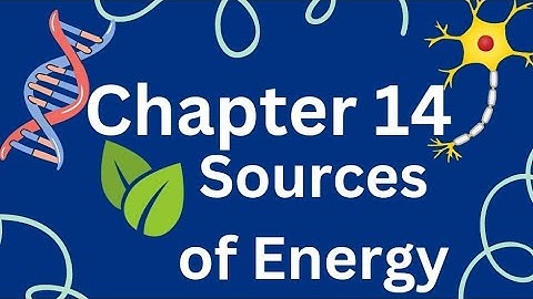 Class 10 Science Chapter 14 | Sources of energy| CBSE Revision Notes