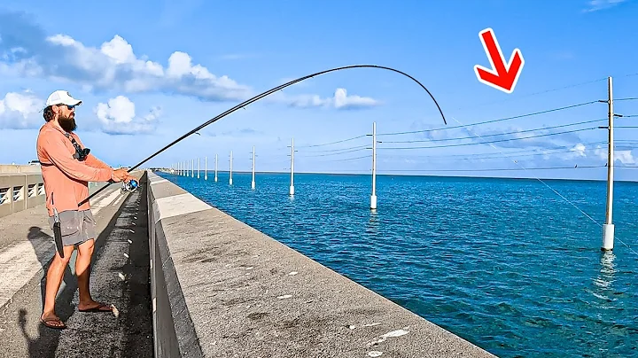 Dropping LIVE Bait Under The Worlds LONGEST Fishin...