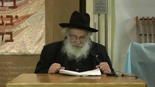 נס חג הפורים הסמוך לפסח - מו"ר הרב אביגדר נבנצל שליט"א | שיחה לפורים ופרשת צו