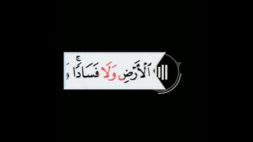 كروما شاشة متحركة بدون حقوق جاهزة للتصاميم القارئ خالد الوصابي