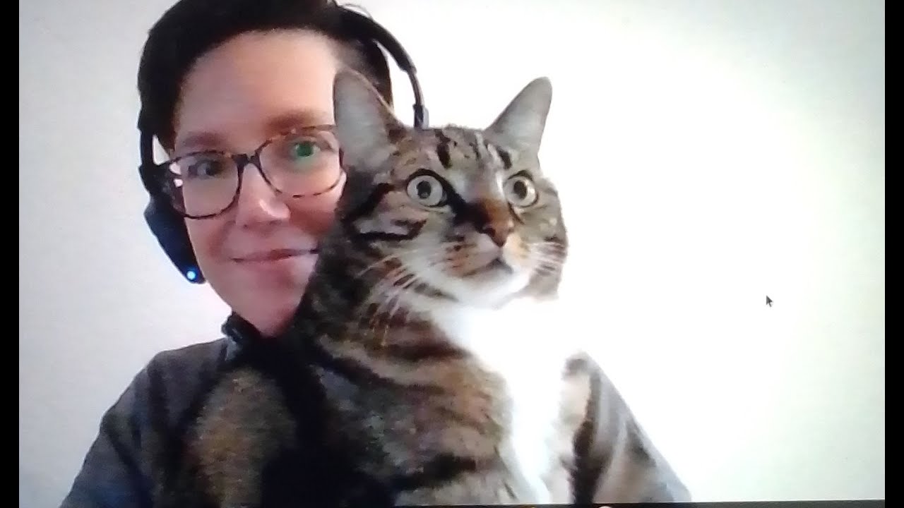 Levenslang dieetvoer van de dierenarts...