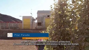 Biosigma: the future of the mining