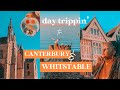 Why do people come here?... | A day trip to Canterbury and Whitstable