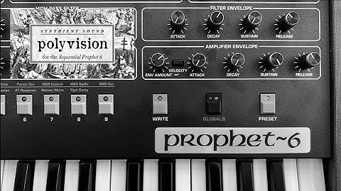 Sequential Prophet 6 "PolyVision" sound set Synthient Sound  [favorite patches walk through, tips]
