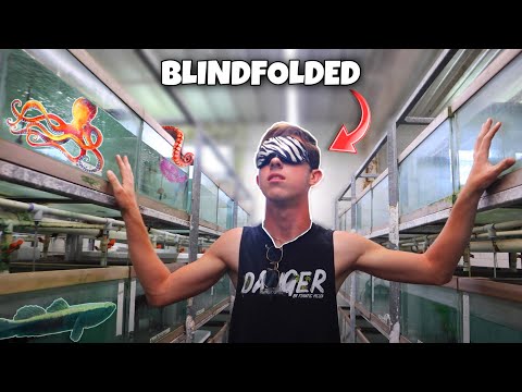 picking-massive-exotic-fish-blindfolded...-(challenge)