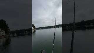 Trolling pearl colored crankbaits for fall like