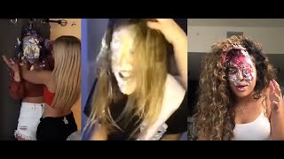 Brand New TikTok Pies in the Face 2