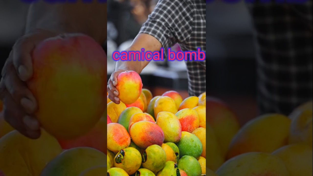 Never Eat MANGOES in INDIA Which Are Artificially Ripened By BANNED Chemicals 